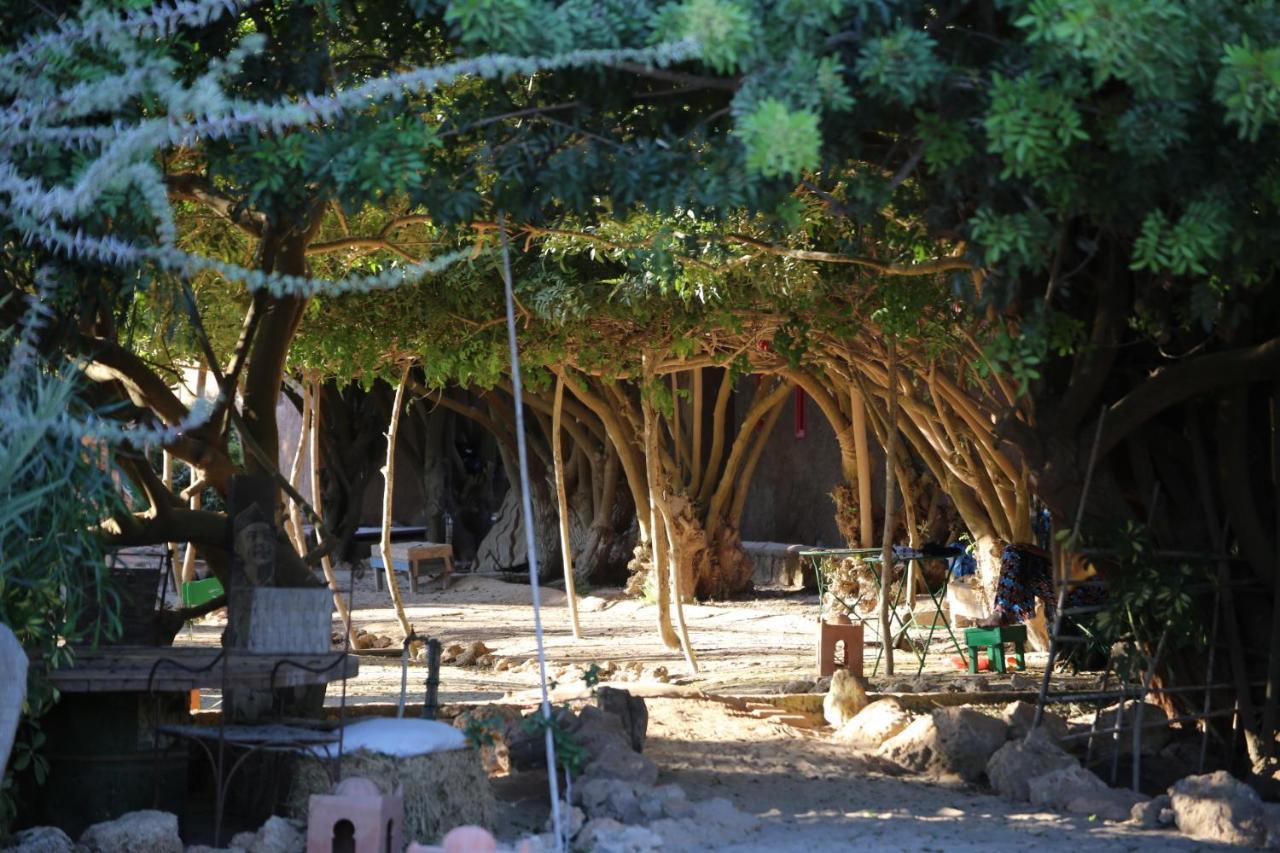 Dar Tawarta Guest House Dakhla Buitenkant foto