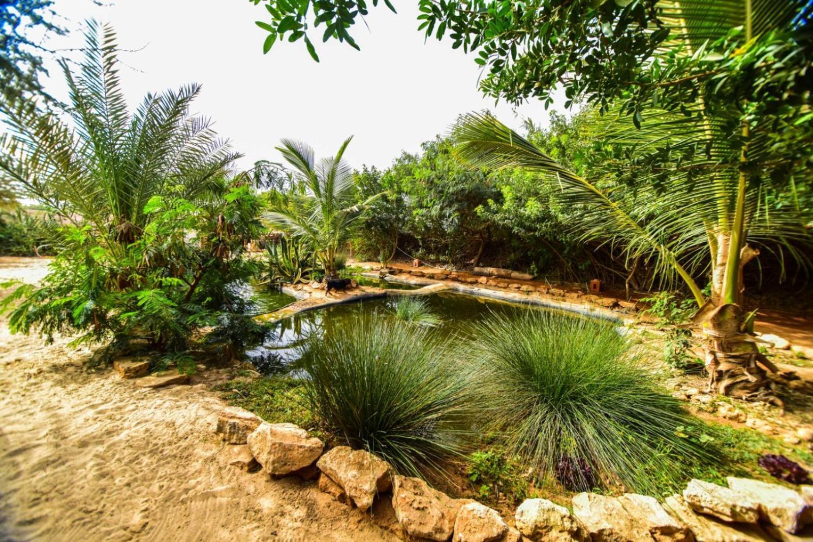 Dar Tawarta Guest House Dakhla Buitenkant foto