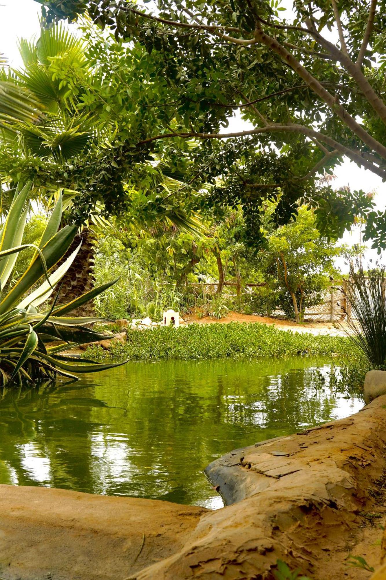 Dar Tawarta Guest House Dakhla Buitenkant foto