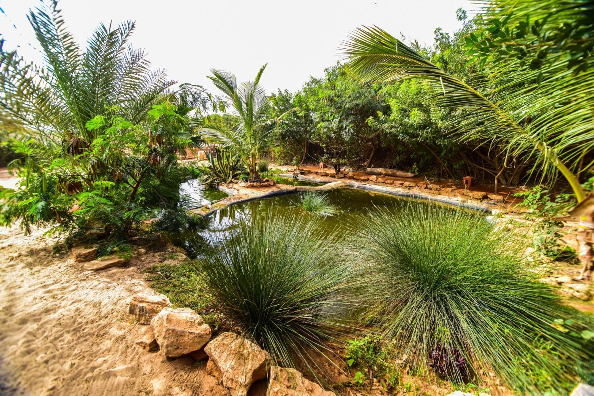 Dar Tawarta Guest House Dakhla Buitenkant foto